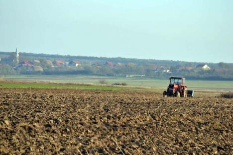 Pământuri mişcătoare! Vestea că din ianuarie cetăţenii străini vor putea cumpăra terenuri agricole în România a dublat preţul la hectar